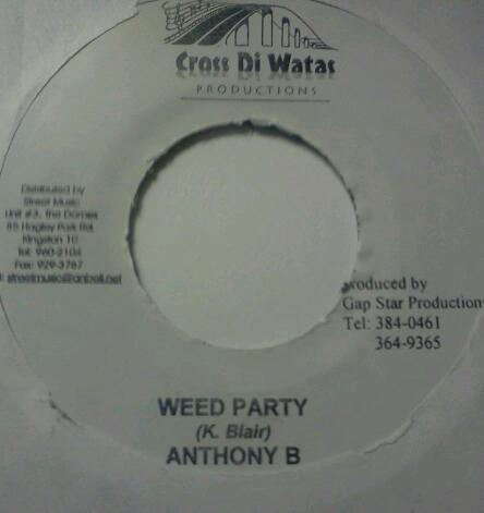 Anthony B - Weed Party