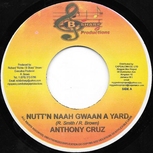 Anthony Cruz - Nutt'n Naah Gwaan A Yard