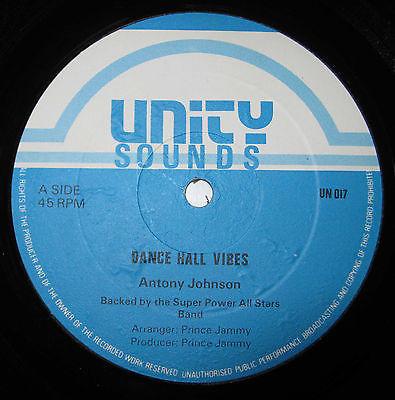 Anthony Johnson, Tonto Irie - Dance Hall Vibes / Wrap Up Mix Up