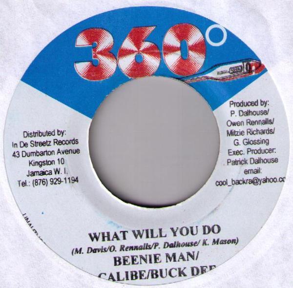 Beenie Man, Calibe, Buck Dee - What Will You Do