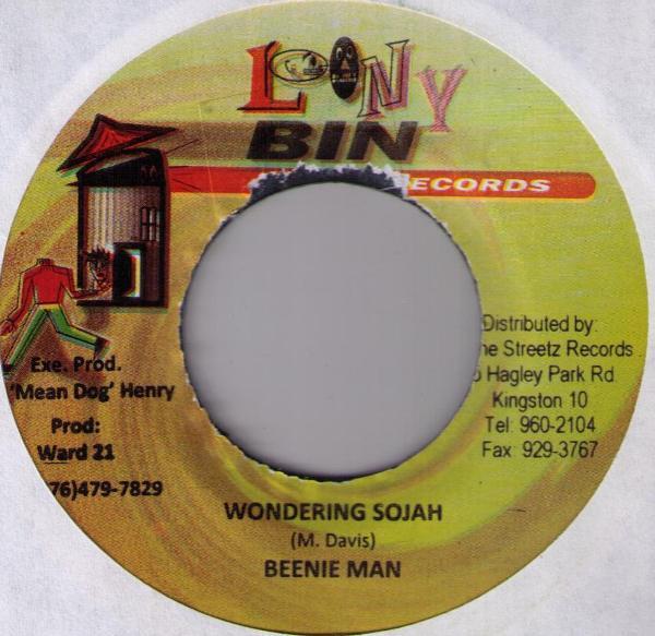 Beenie Man - Wondering Sojah