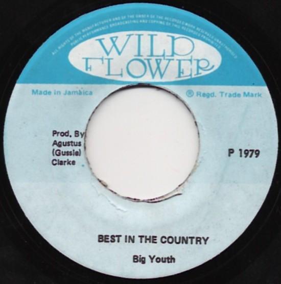 Big Youth - Best In The Country