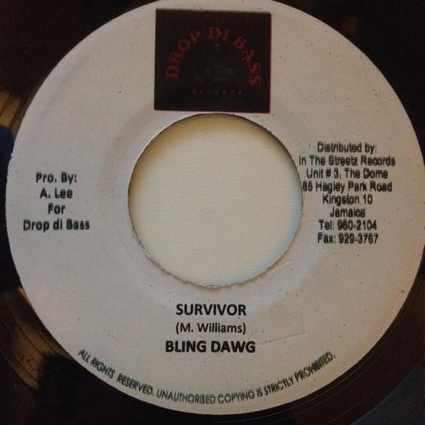 Bling Dawg, Madd Anju - Survivor / Country B