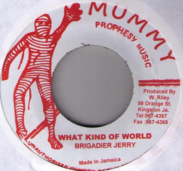 Brigadier Jerry - What Kind Of World