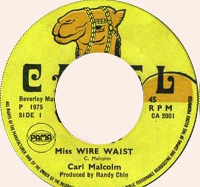 Carl Malcolm, Skin, Flesh & Bones - Miss Wire Waist / Wire Dub