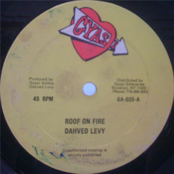 Dahved Levy - Roof On Fire