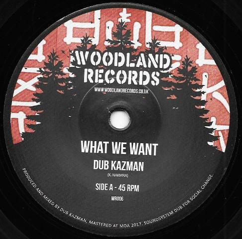 Dub Kazman - What We Want