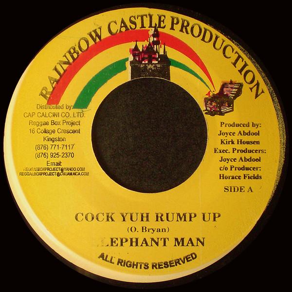 Elephant Man, Shotty Pooh - Cock Yuh Rump Up / Bacardi Mix Up