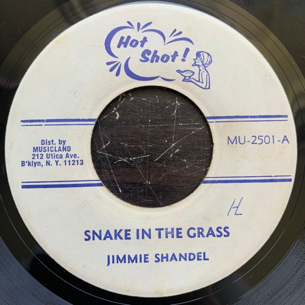Jimmie Shandel - Snake In The Grass
