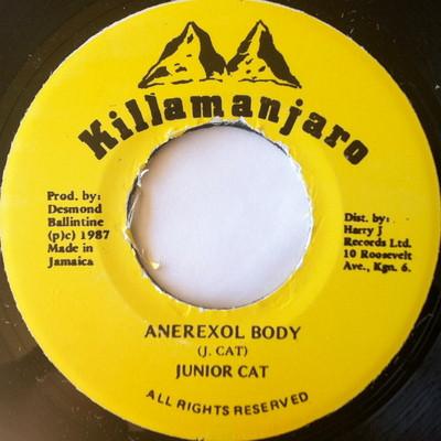 Junior Cat - Anerexol Body
