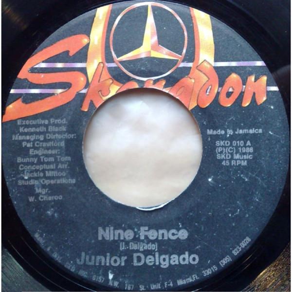Junior Delgado - Nine Fence