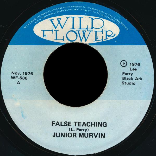 Junior Murvin - False Teaching