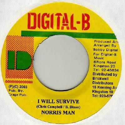 Norrisman - I Will Survive