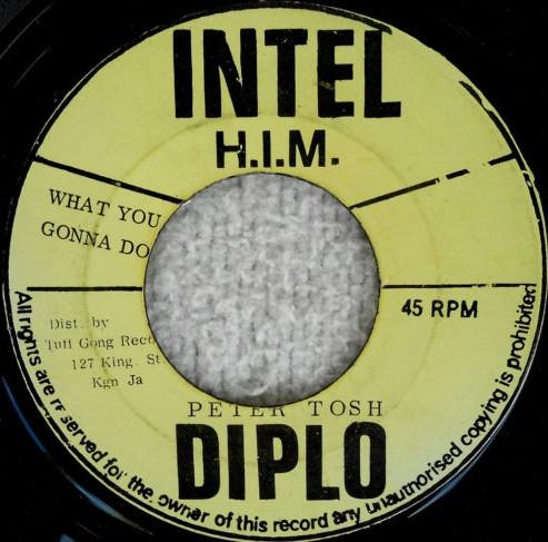 Peter Tosh - What You Gonna Do / Version