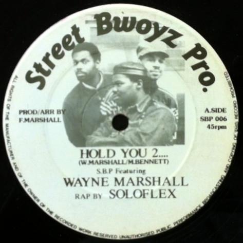 Roots And Soul, S.B.P, Wayne Marshall (3) - Hold You 2.... / Tower House