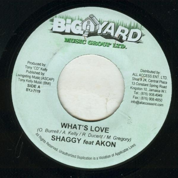 Shaggy, Akon - What's Love