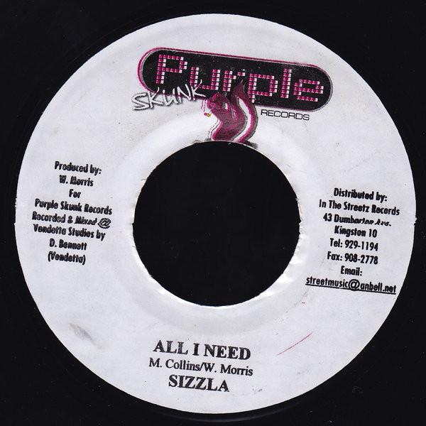 Sizzla - All I Need / Purple Skunk