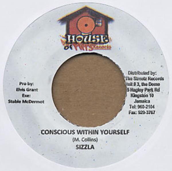 Sizzla - Conscious Within Yourself