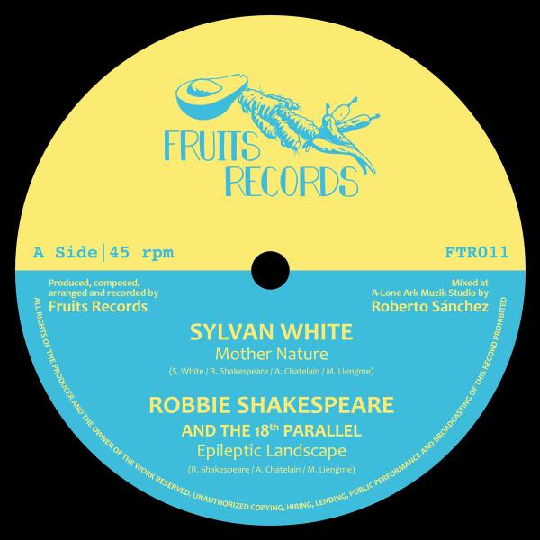 Sylvan White, Robbie Shakespeare, Earth Warrior, Delroy Melody - Magnetic Buzz Riddim