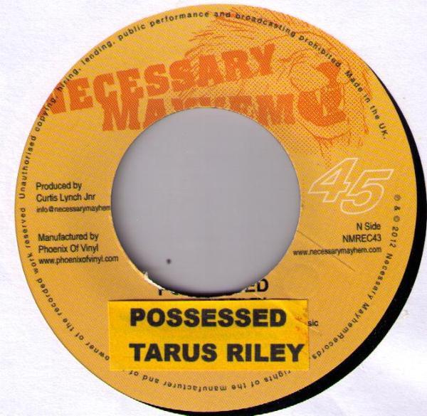 Tarrus Riley - Possessed