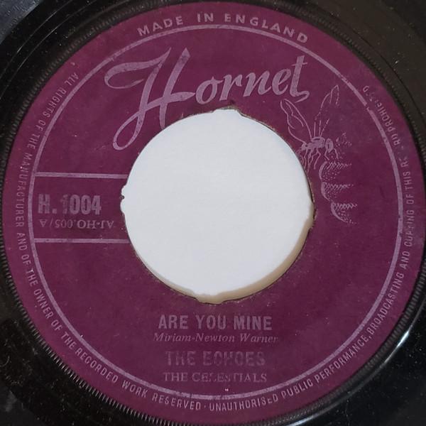 The Echoes (13) - Are You Mine / I Love You Forever
