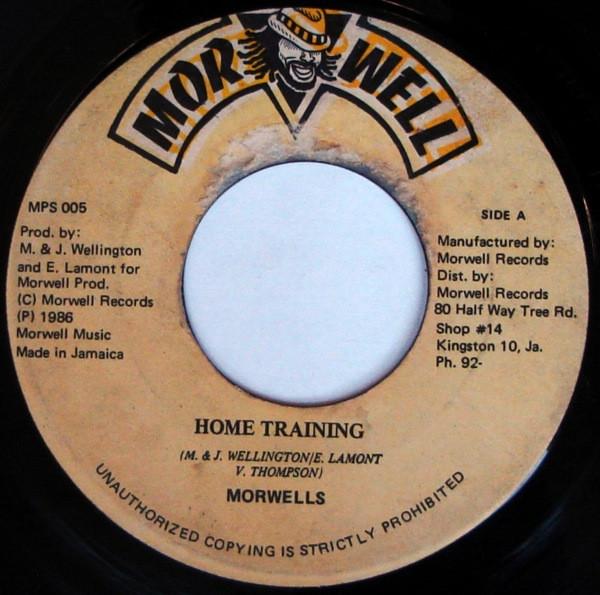 The Roots Radics, The Morwells - Home Training / The Terminator