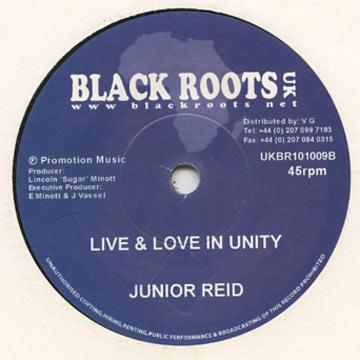 Trevor Junior, Junior Reid - Never Run Away / Live & Love In Unity