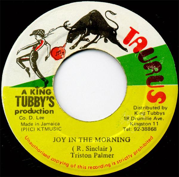 Tristan Palmer - Joy In The Morning