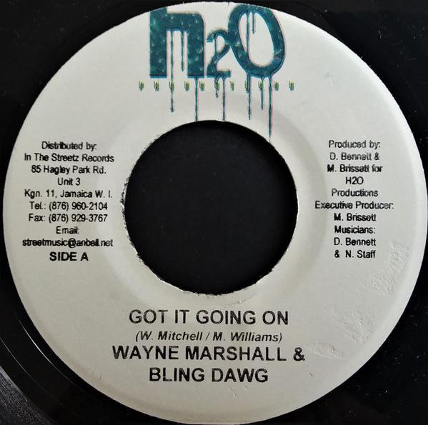 Wayne Marshall, Bling Dawg - Got It Going On