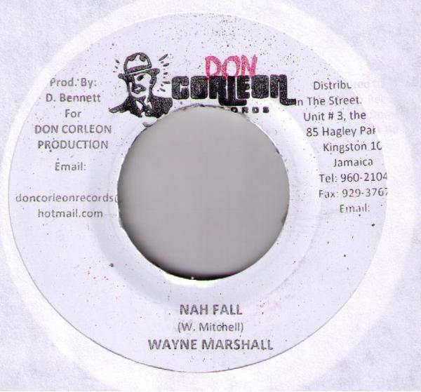 Wayne Marshall - Nah Fall