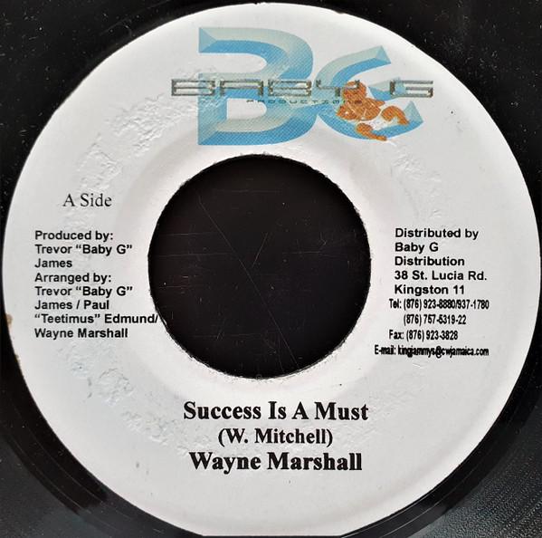 Wayne Marshall - Success Is A Must